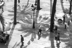 Placa Reial Barcelona, Shadows Vertical