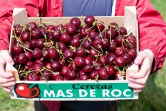 Cherry Picking, Jamie Magazine
