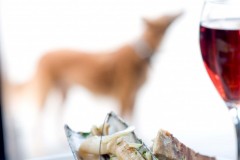 Geetie's Cookbook, Grub Street Publishing