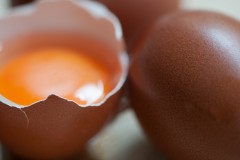 Impeccable Eggs, Heritage Breeds