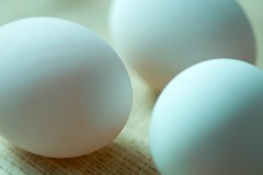 Impeccable Eggs, Heritage Breeds